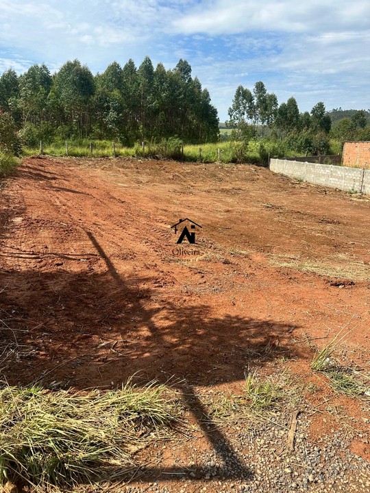 TERR-100 TERRENO CHACARA SENTIDO ANDRADAS